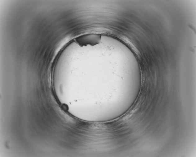 X0000096401083200801240959