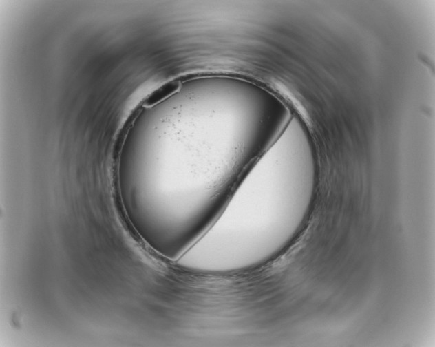 X0000096401085200801240958