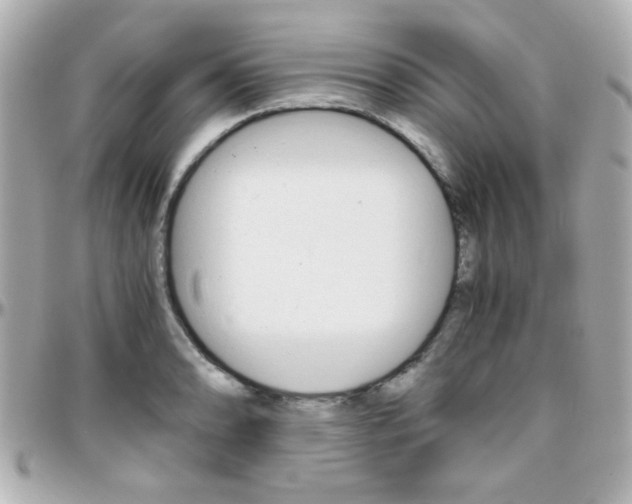 X0000096401086200801240958