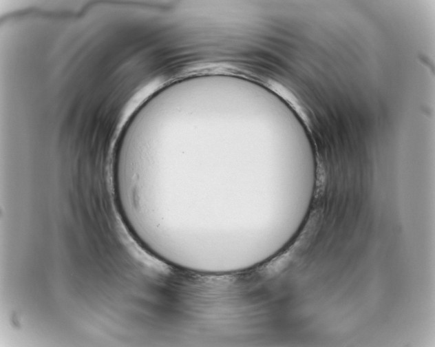 X0000096401090200801240958