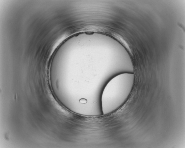 X0000096401091200801240958