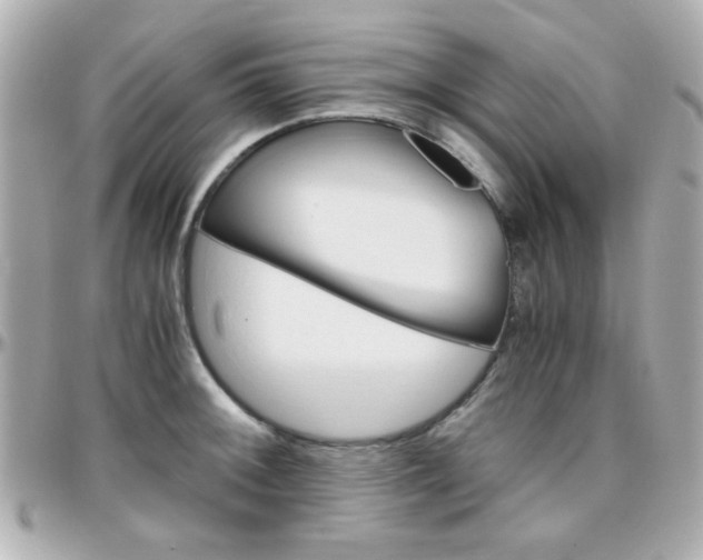X0000096401092200801240958