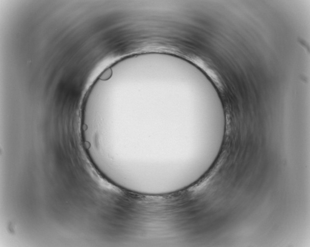 X0000096401094200801240958