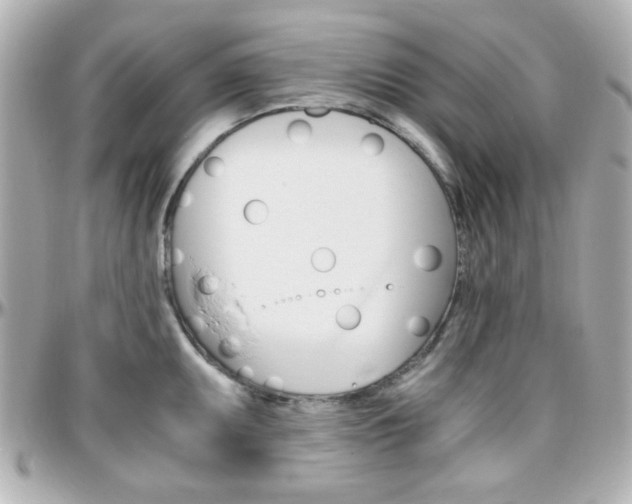 X0000096401095200801240958