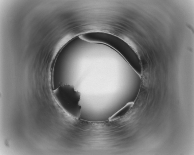 X0000096401096200801240958