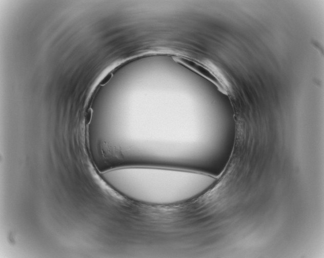 X0000096401100200801240958
