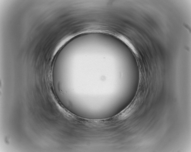 X0000096401101200801240958
