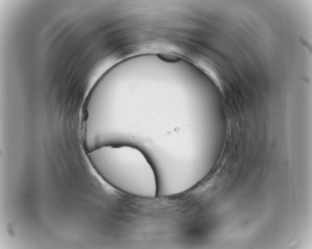 X0000096401103200801240958