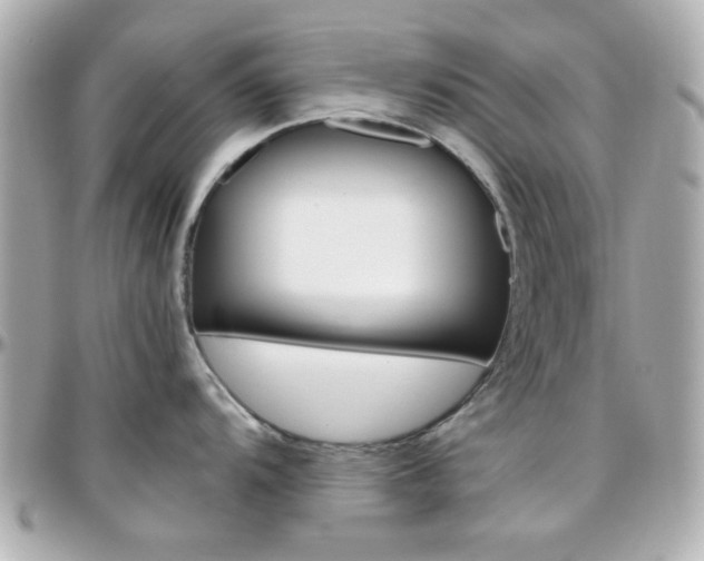 X0000096401104200801240958