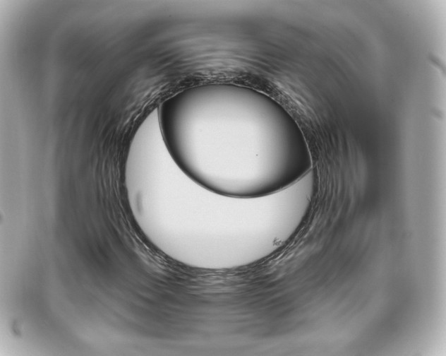 X0000096401108200801240957