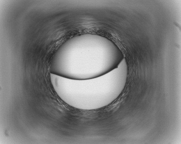 X0000096401109200801240957