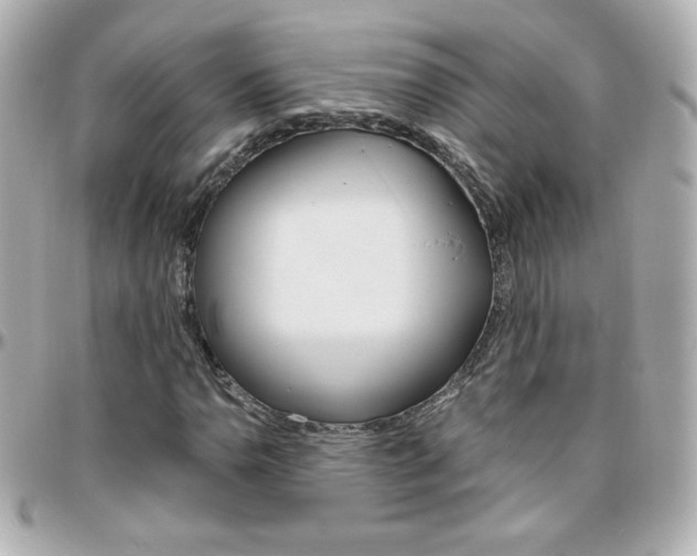 X0000096401110200801240957