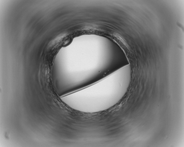 X0000096401111200801240957