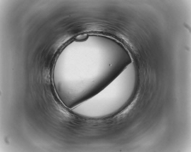 X0000096401113200801240958
