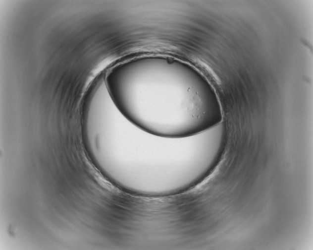 X0000096401114200801240958