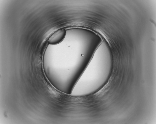 X0000096401115200801240958