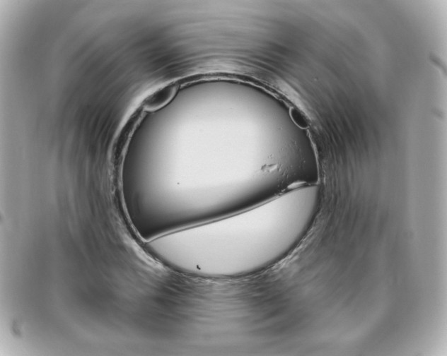 X0000096401116200801240958