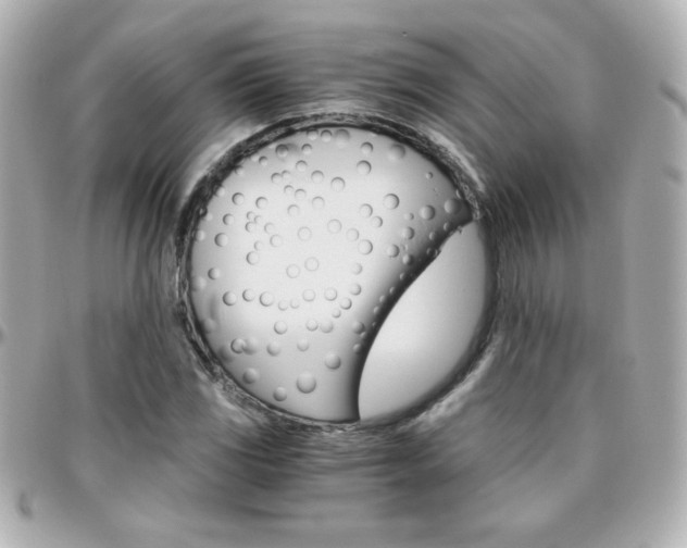 X0000096401117200801240958