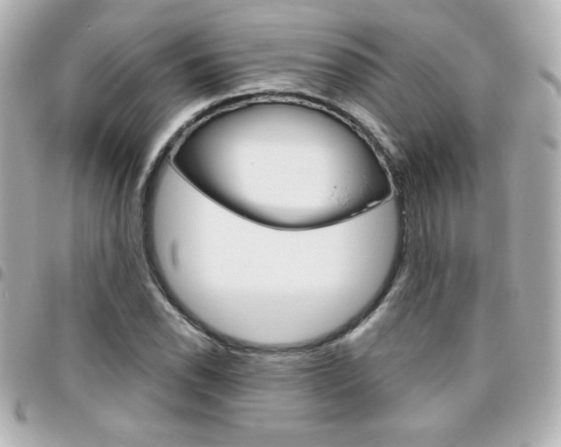 X0000096401118200801240958
