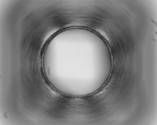 X0000096401119200801240958