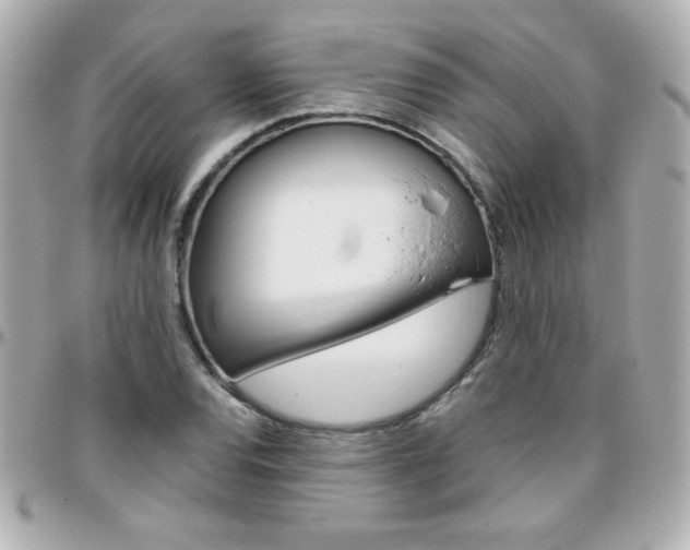 X0000096401120200801240958