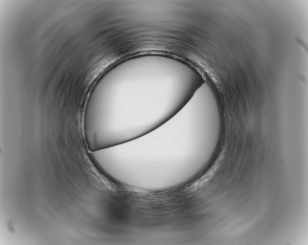 X0000096401121200801240958