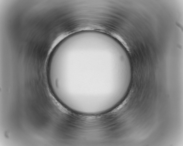 X0000096401122200801240958