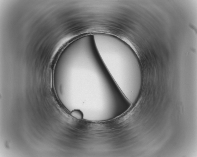 X0000096401123200801240958