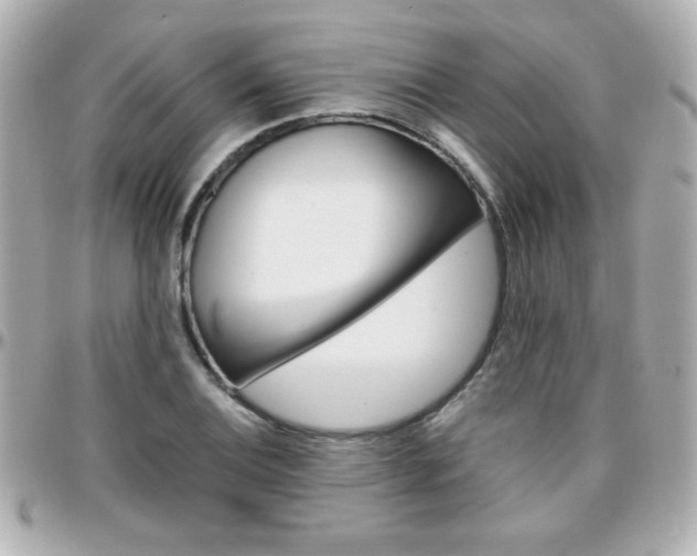 X0000096401124200801240958
