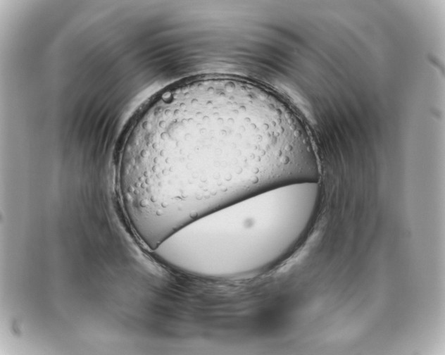 X0000096401125200801240958