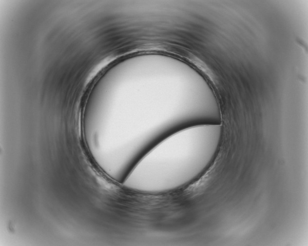 X0000096401127200801240958