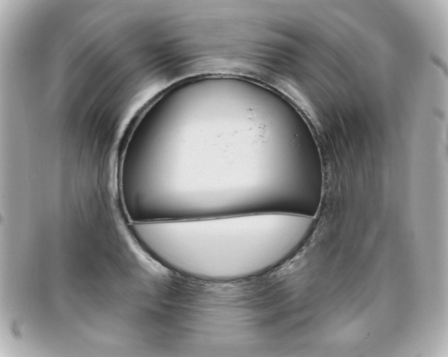 X0000096401128200801240958