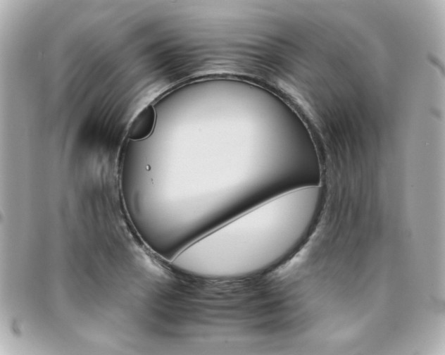 X0000096401129200801240958