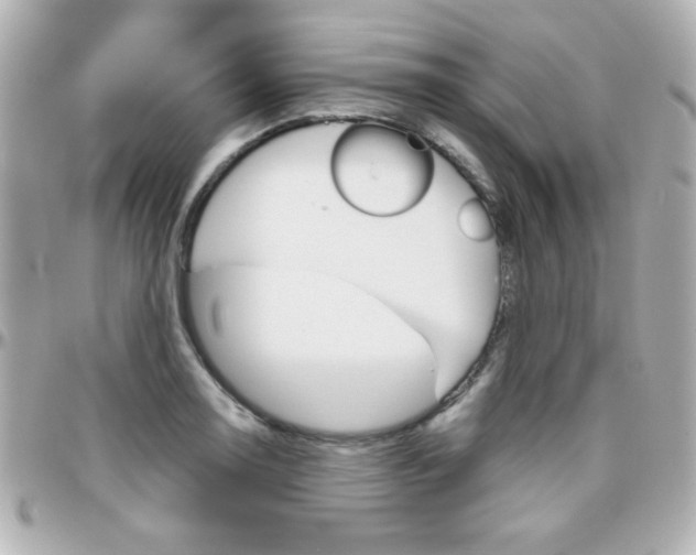 X0000096401130200801240958