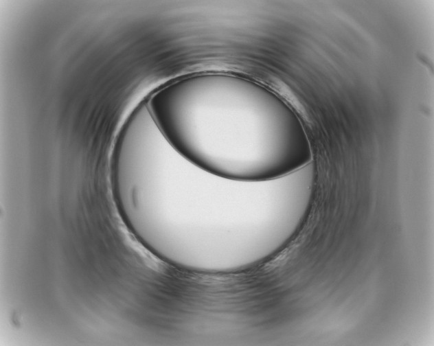 X0000096401132200801240958