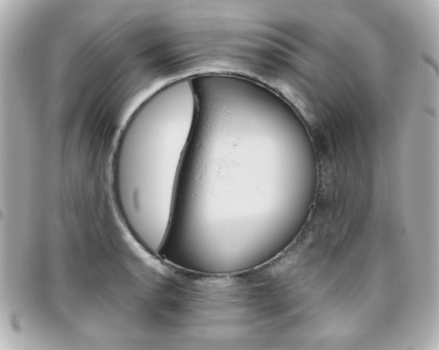 X0000096401134200801240958