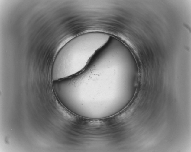 X0000096401137200801240958