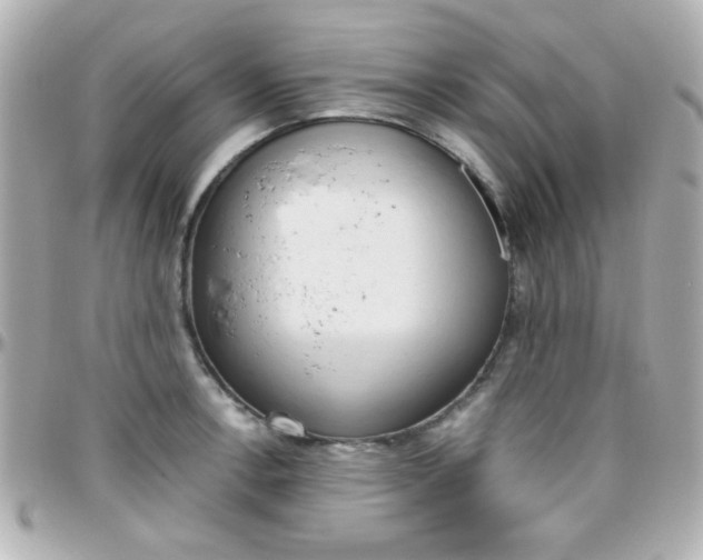 X0000096401138200801240958