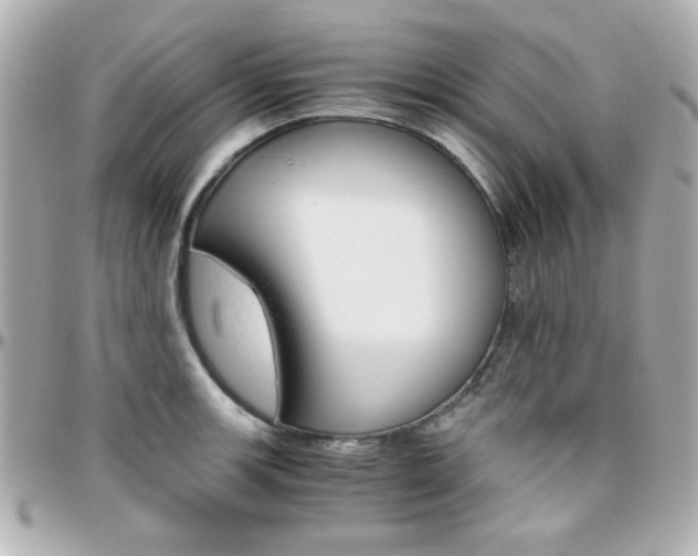 X0000096401139200801240958