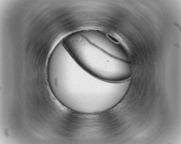 X0000096401140200801240958
