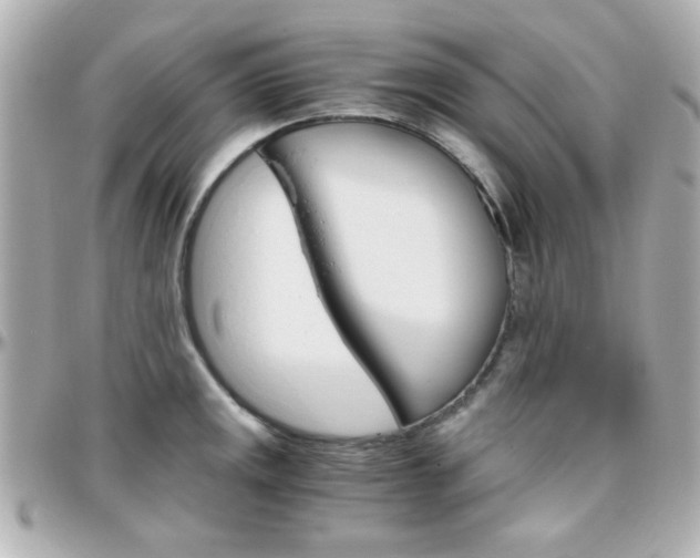 X0000096401141200801240958