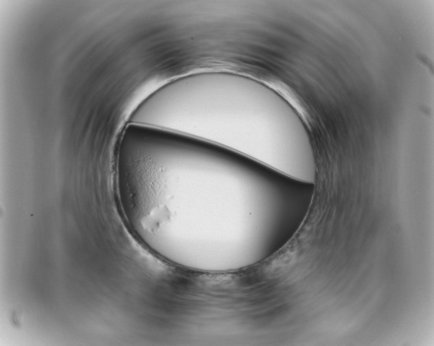 X0000096401143200801240958