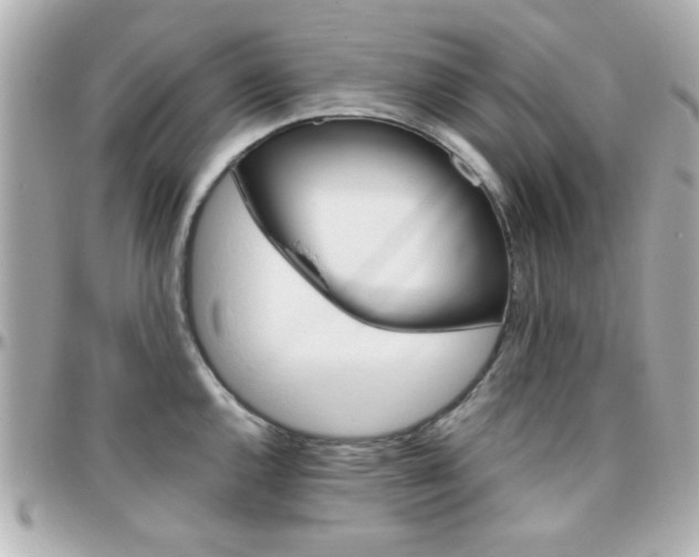 X0000096401144200801240958