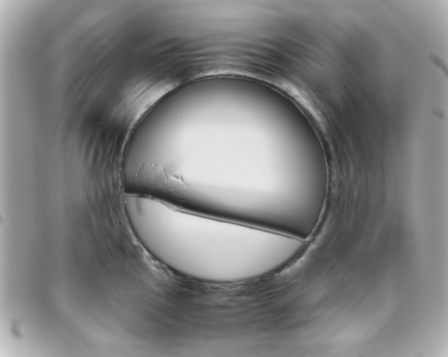 X0000096401145200801240958