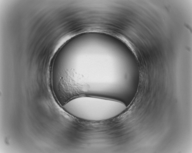 X0000096401147200801240958