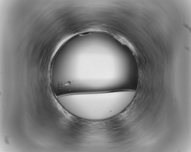 X0000096401148200801240958