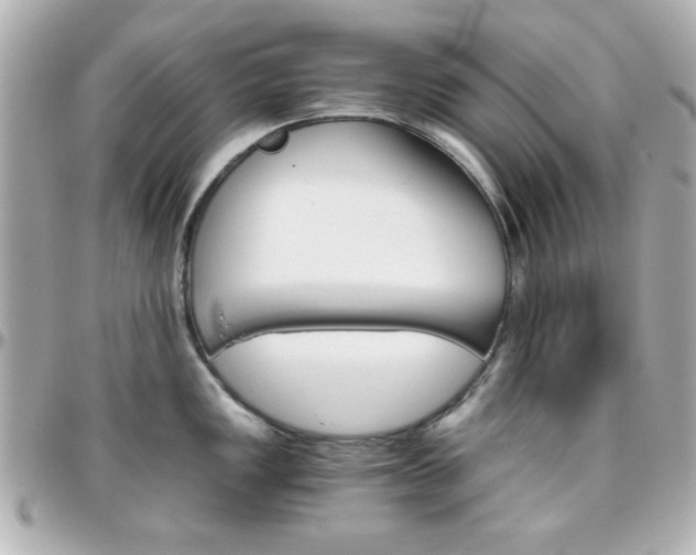 X0000096401149200801240958