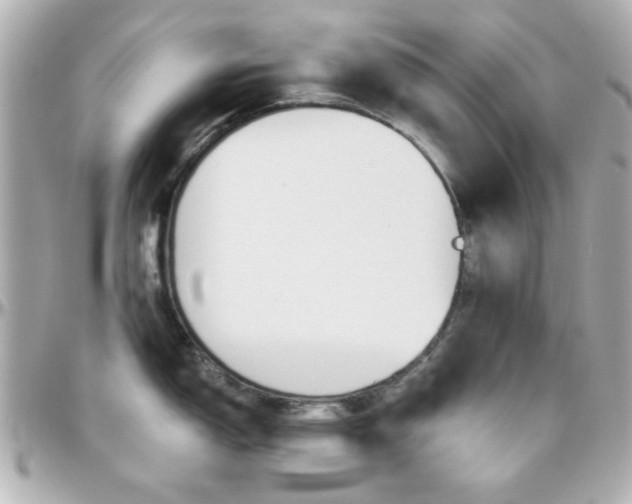 X0000096401150200801240958
