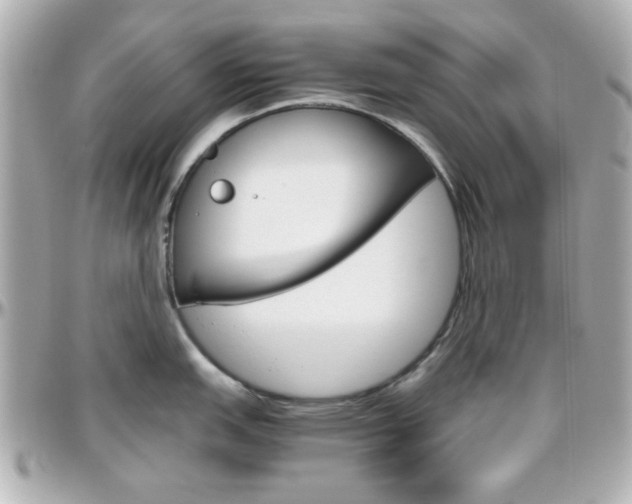 X0000096401151200801240958