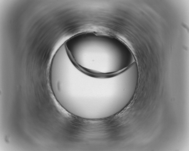 X0000096401152200801240958
